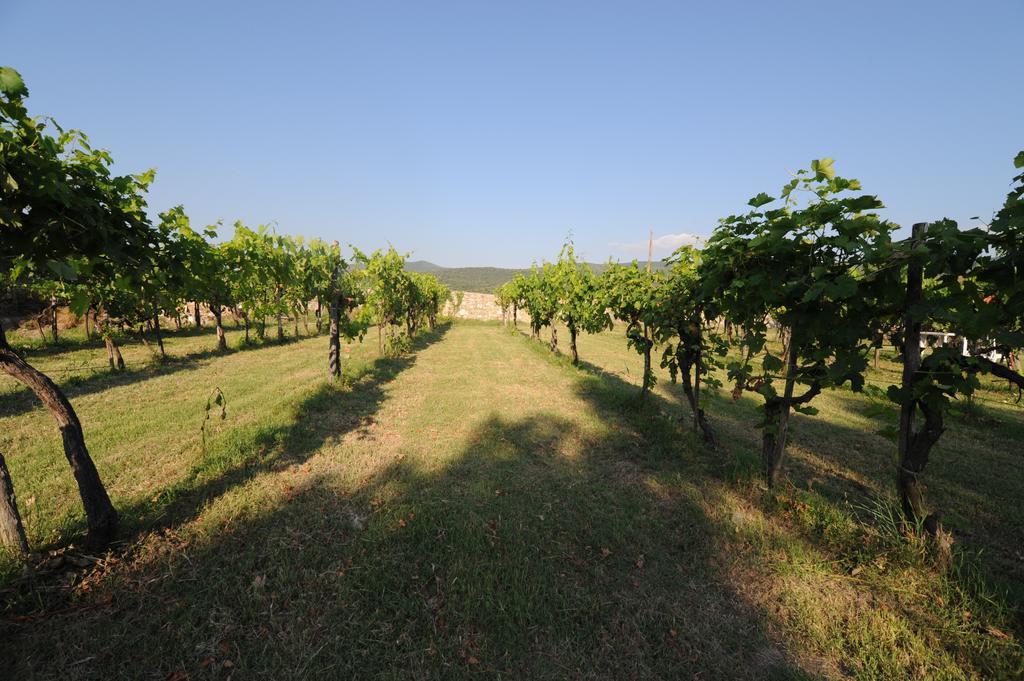 Agriturismo Scorgiano Екстериор снимка